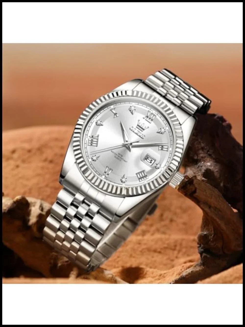Mens Stainless Steel Quartz Watch Waterproof Dress Casual with Date